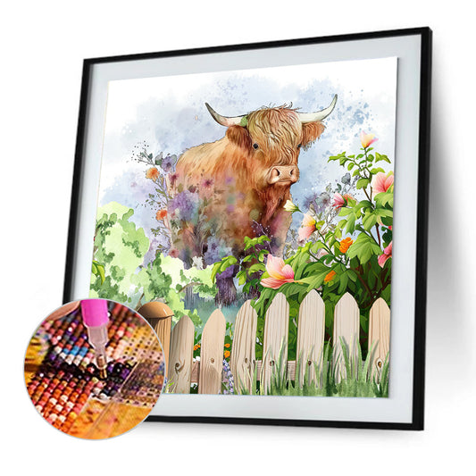 Highland Cattle - Full Round Drill Diamond Painting 30*30CM
