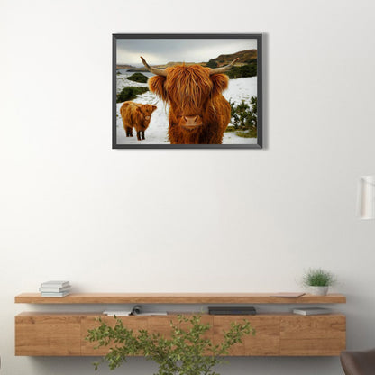 Highland Yak - Full Round Drill Diamond Painting 40*30CM