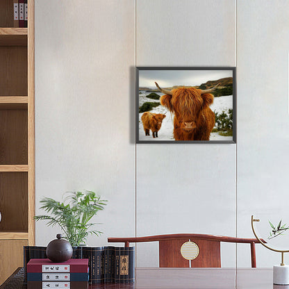 Highland Yak - Full Round Drill Diamond Painting 40*30CM