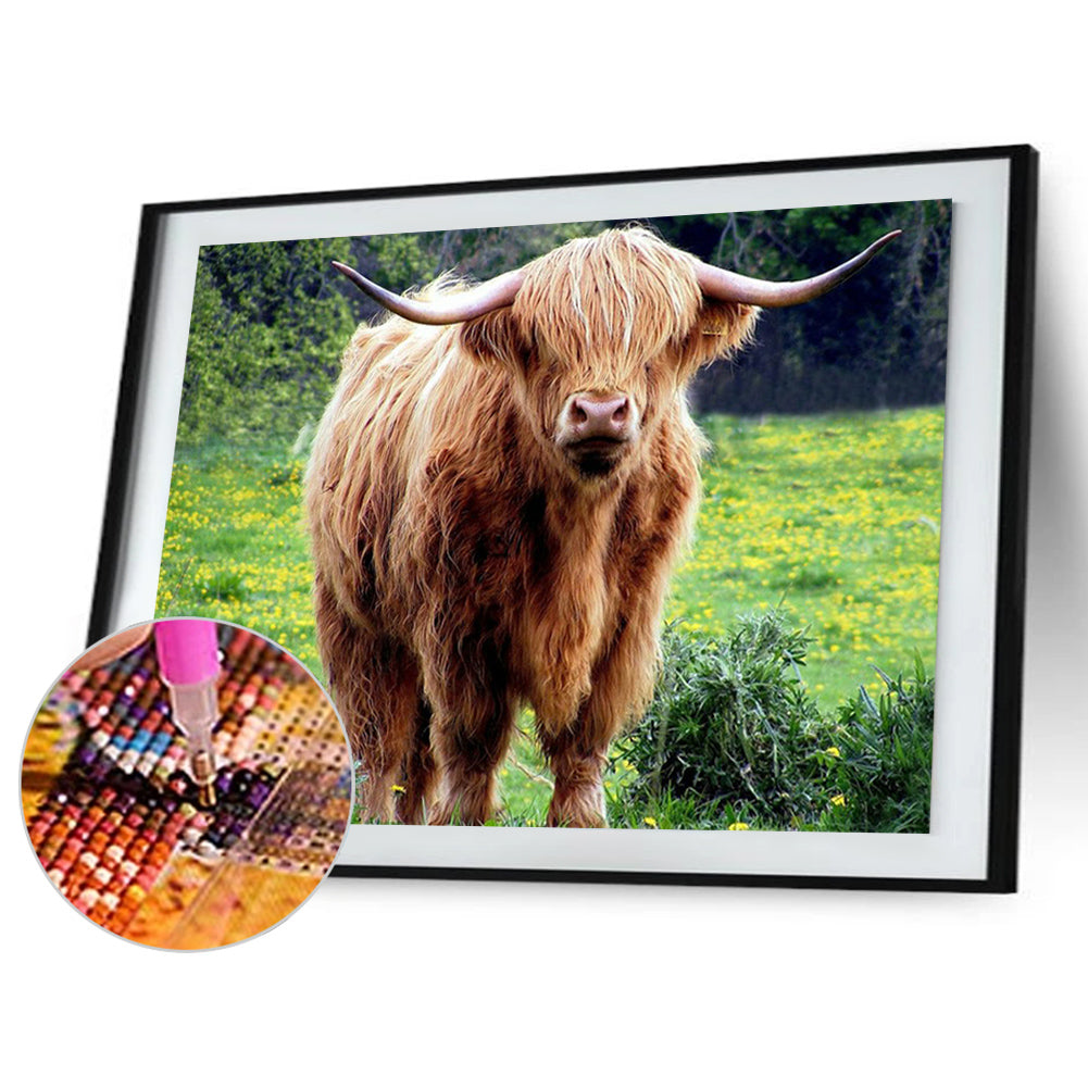 Highland Yak - Full Round Drill Diamond Painting 40*30CM