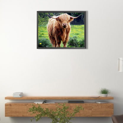 Highland Yak - Full Round Drill Diamond Painting 40*30CM