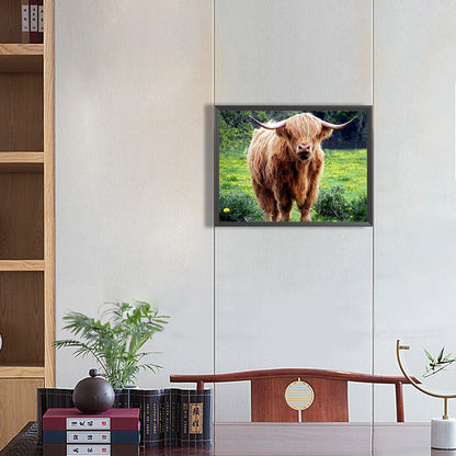 Highland Yak - Full Round Drill Diamond Painting 40*30CM