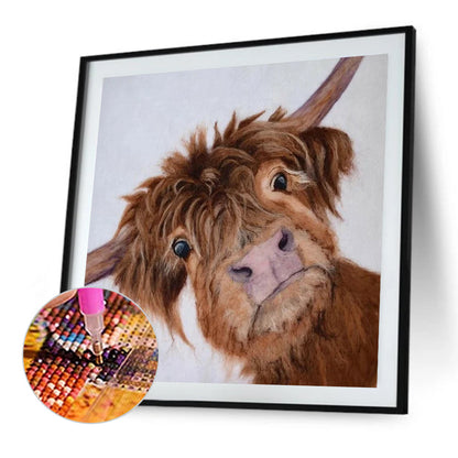 Highland Yak - Full Round Drill Diamond Painting 45*45CM