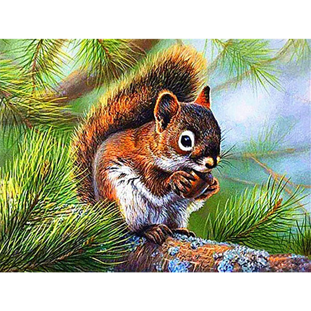 Squirrel - Full Round Drill Diamond Painting 40*30CM