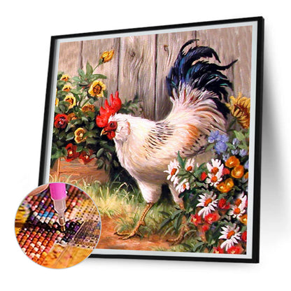 Rooster - Full Round Drill Diamond Painting 30*30CM