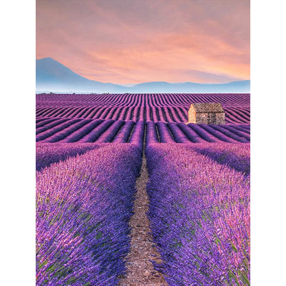 Sea Of Violets - Full Round Drill Diamond Painting 30*40CM