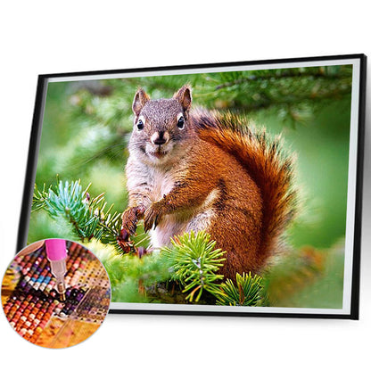 Squirrel - Full Round Drill Diamond Painting 50*40CM