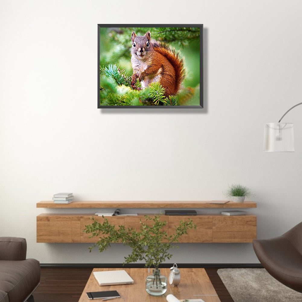 Squirrel - Full Round Drill Diamond Painting 50*40CM