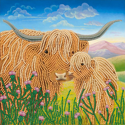 Highland Yak - Special Shaped Drill Diamond Painting 30*30CM