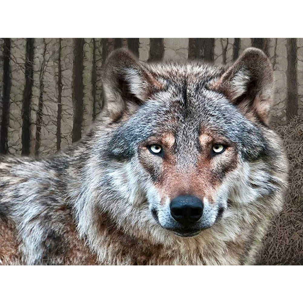 Wolf - Full Round Drill Diamond Painting 40*30CM