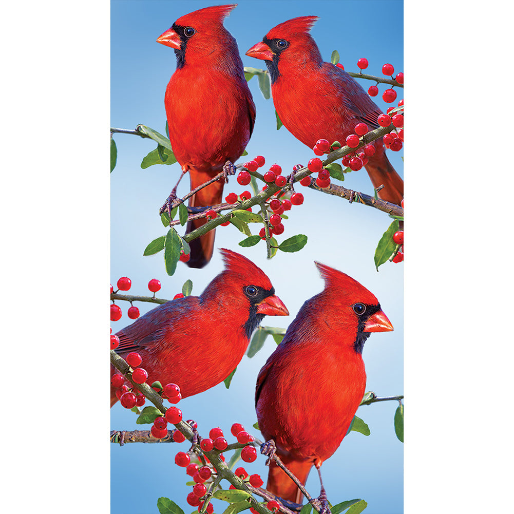 Cardinal - Full Round Drill Diamond Painting 40*70CM
