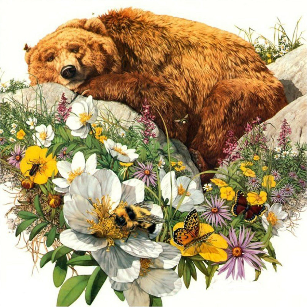 Bear Resting On Rock - Full Round Drill Diamond Painting 30*30CM