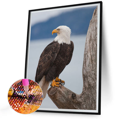Eagle - Full Round Drill Diamond Painting 30*40CM