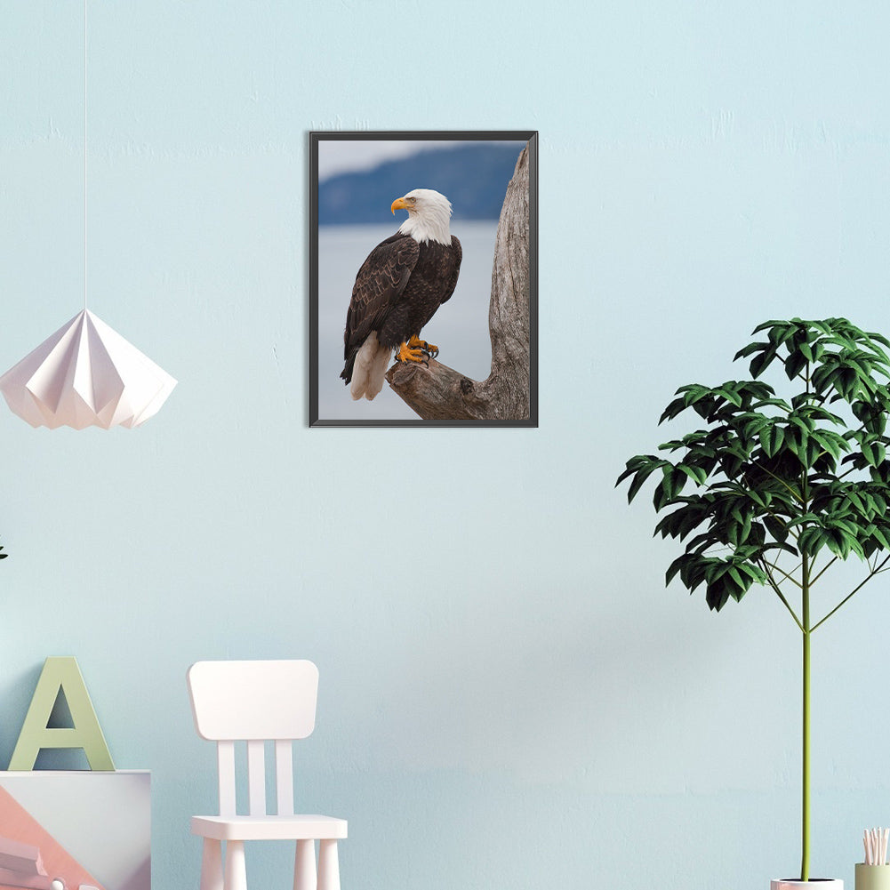 Eagle - Full Round Drill Diamond Painting 30*40CM