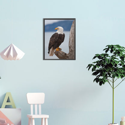 Eagle - Full Round Drill Diamond Painting 30*40CM