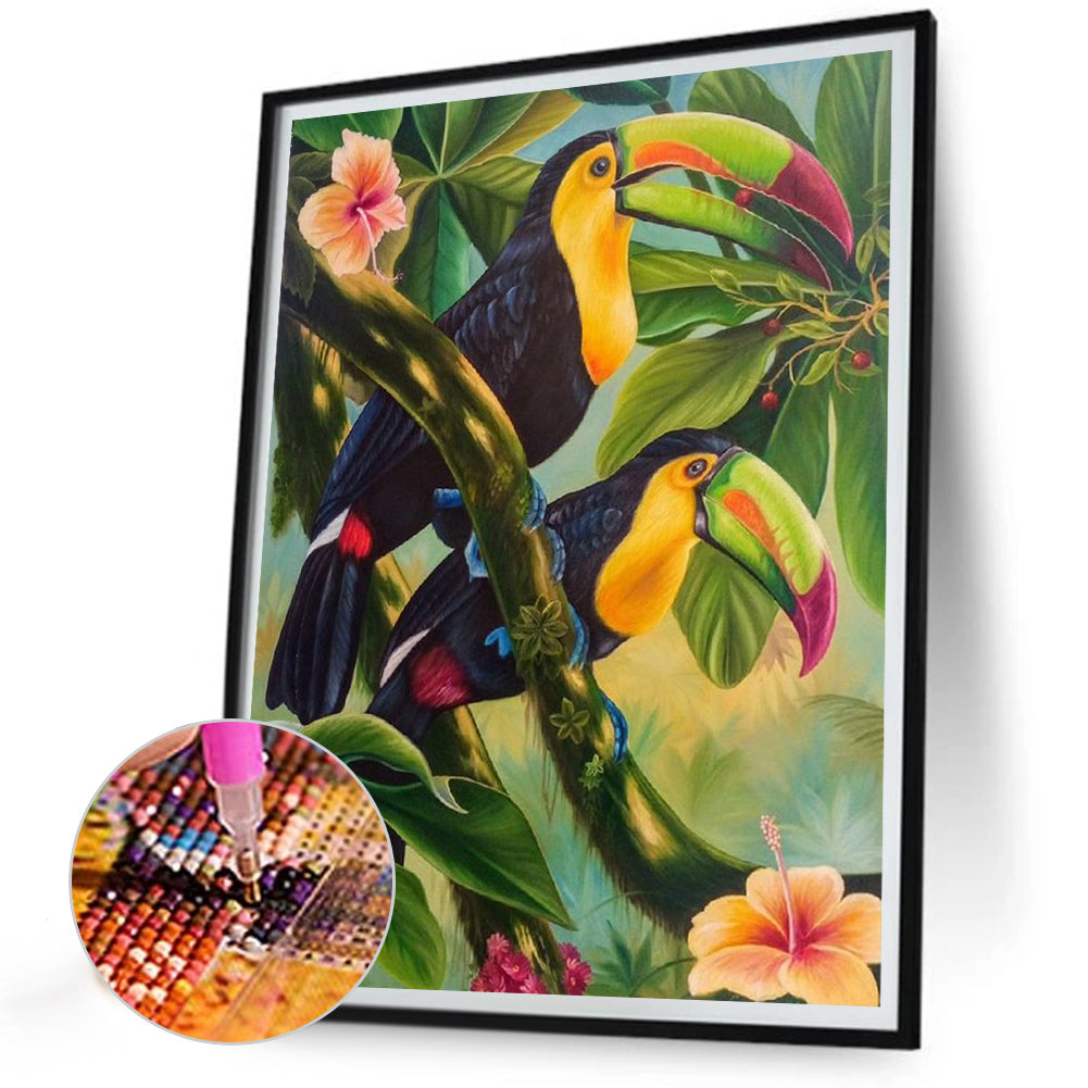 Toucan - Full Round Drill Diamond Painting 30*40CM