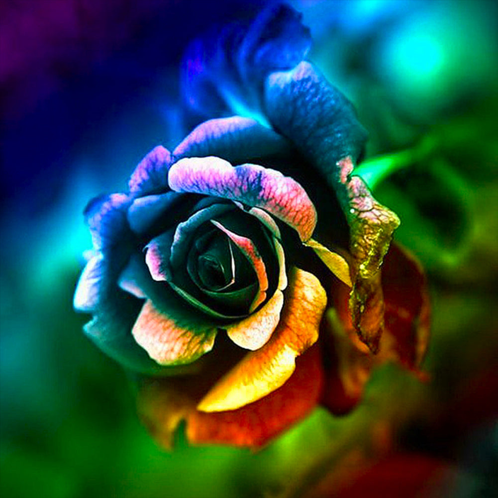 Colored Roses - Full Round Drill Diamond Painting 30*30CM