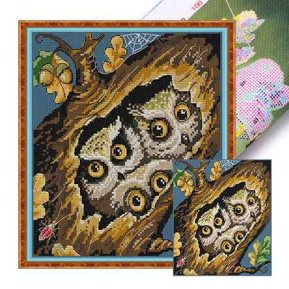 Three Little Owls - 14CT Stamped Cross Stitch 26*28CM(Joy Sunday)