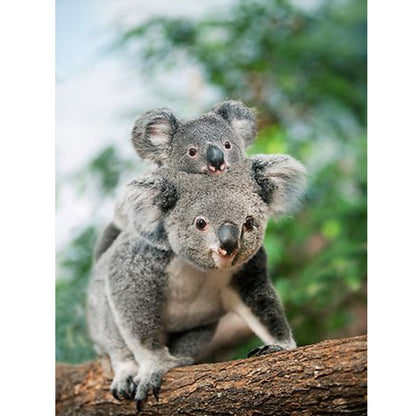 Parent-Child Koala - Full Round Drill Diamond Painting 30*40CM