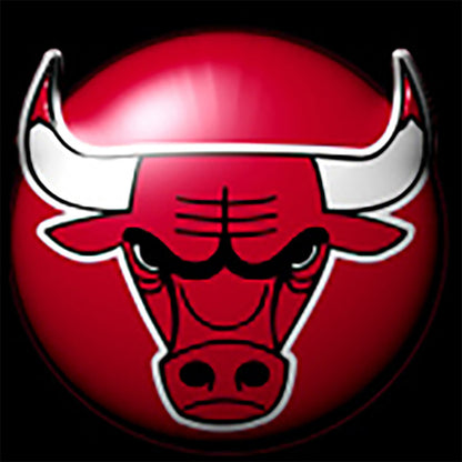 Chicago Bulls - Full Round Drill Diamond Painting 30*30CM