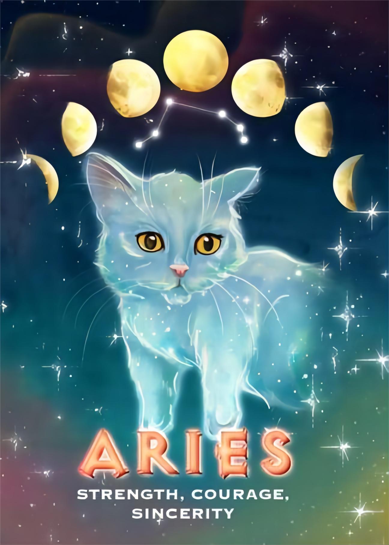 Cosmic Aries Zodiac Cat - Full Round Drill Diamond Painting 30*40CM