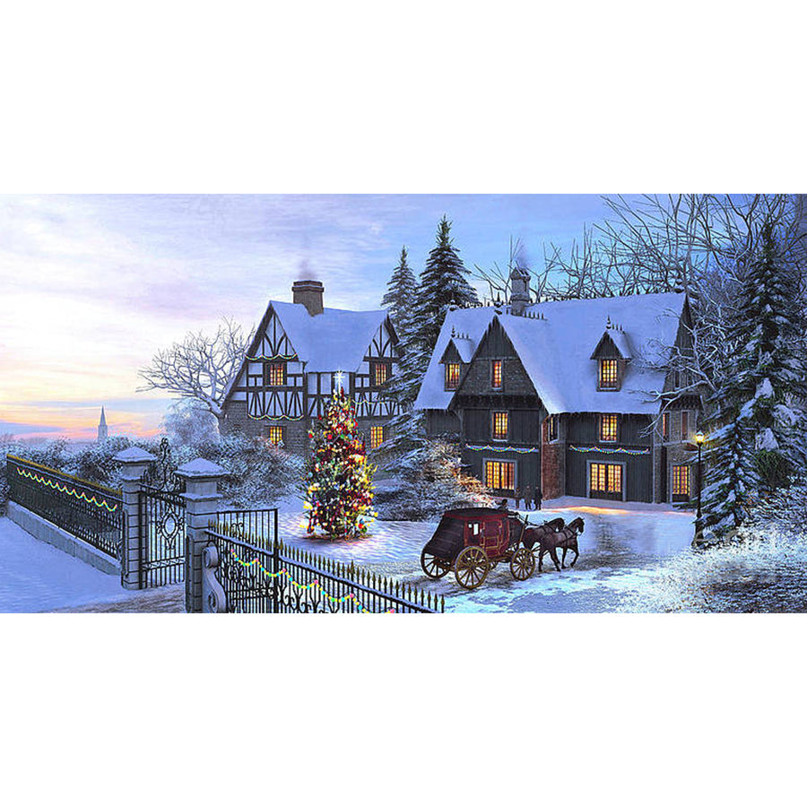 House - Full Round Drill Diamond Painting 40*50CM