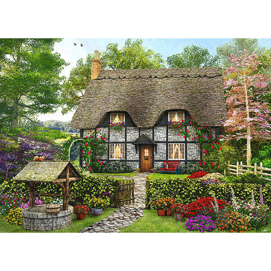 House - Full Round Drill Diamond Painting 40*50CM