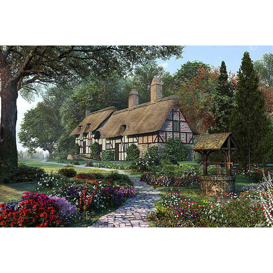 House - Full Round Drill Diamond Painting 40*50CM
